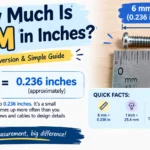 How Much Is 6mm in Inches