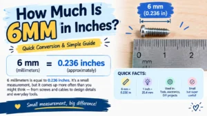 How Much Is 6mm in Inches