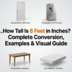 How Tall Is 6 Feet in Inches? Complete Conversion, Examples & Visual Guide