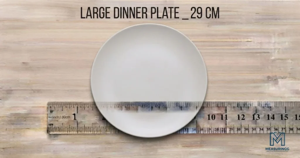 Large Dinner Plate