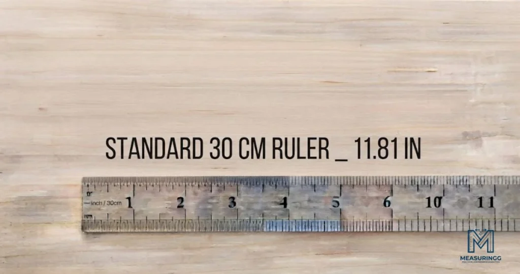 Standard 30 cm ruler