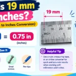 What Is 19 mm in Inches? (19 Millimeters to Inches Conversion)