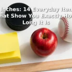 3 Inches: 14 Everyday Items That Show You Exactly How Long It Is