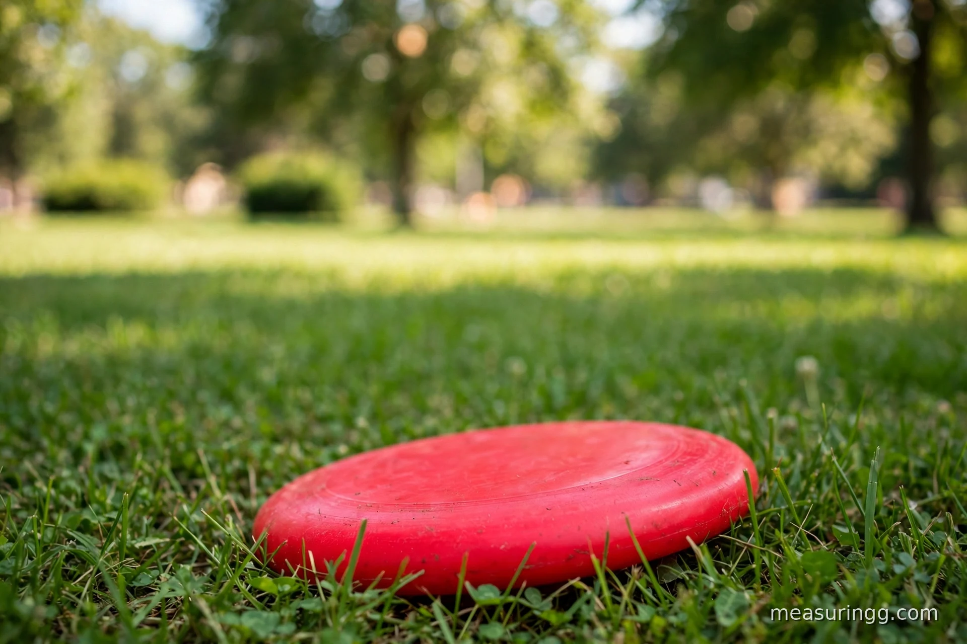 A Standard Frisbee