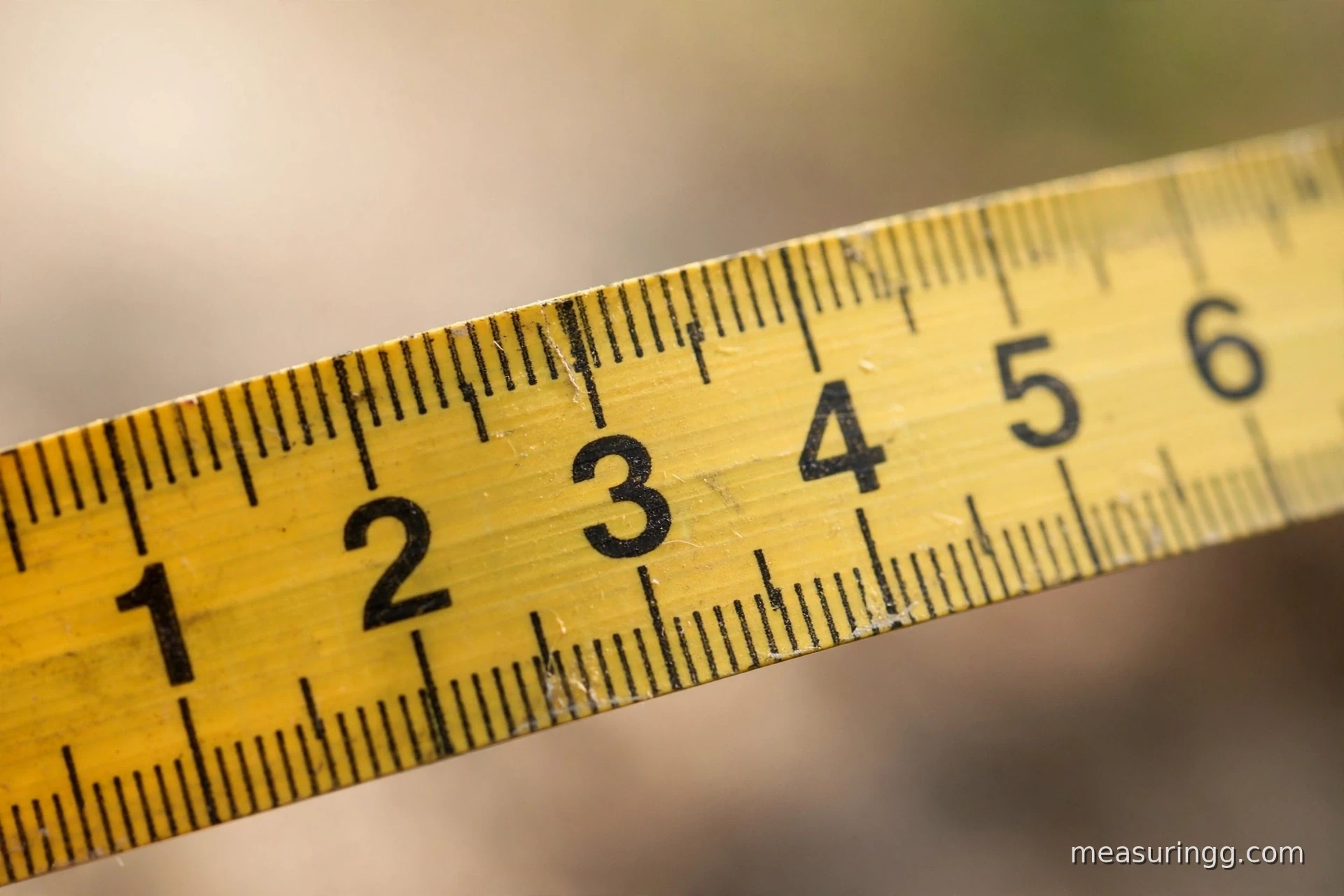 How Long Is 6 Inches, Exactly?