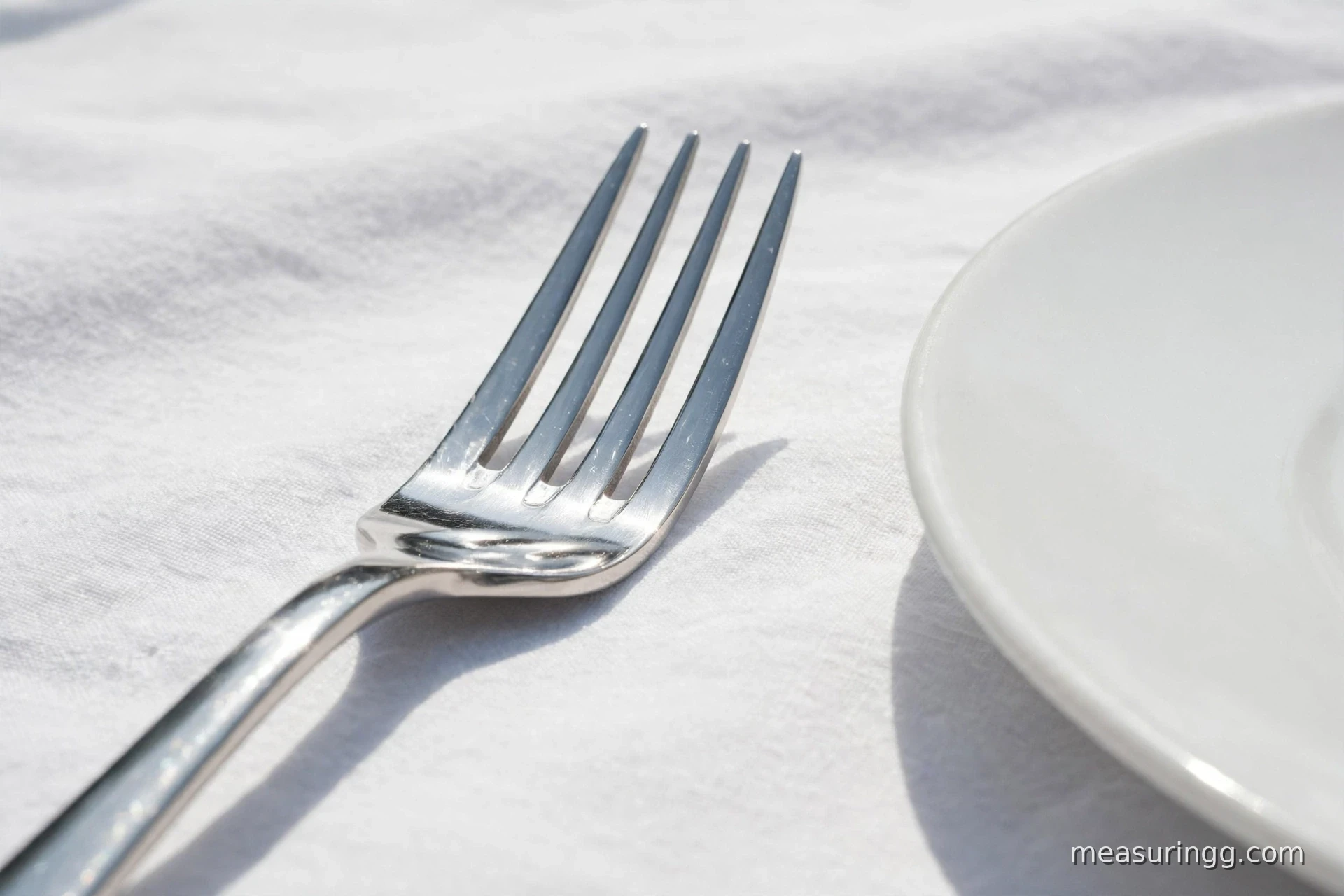 6. A Standard Dinner Fork
