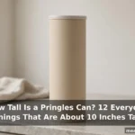 How Tall Is a Pringles Can? 12 Everyday Things That Are About 10 Inches Tall