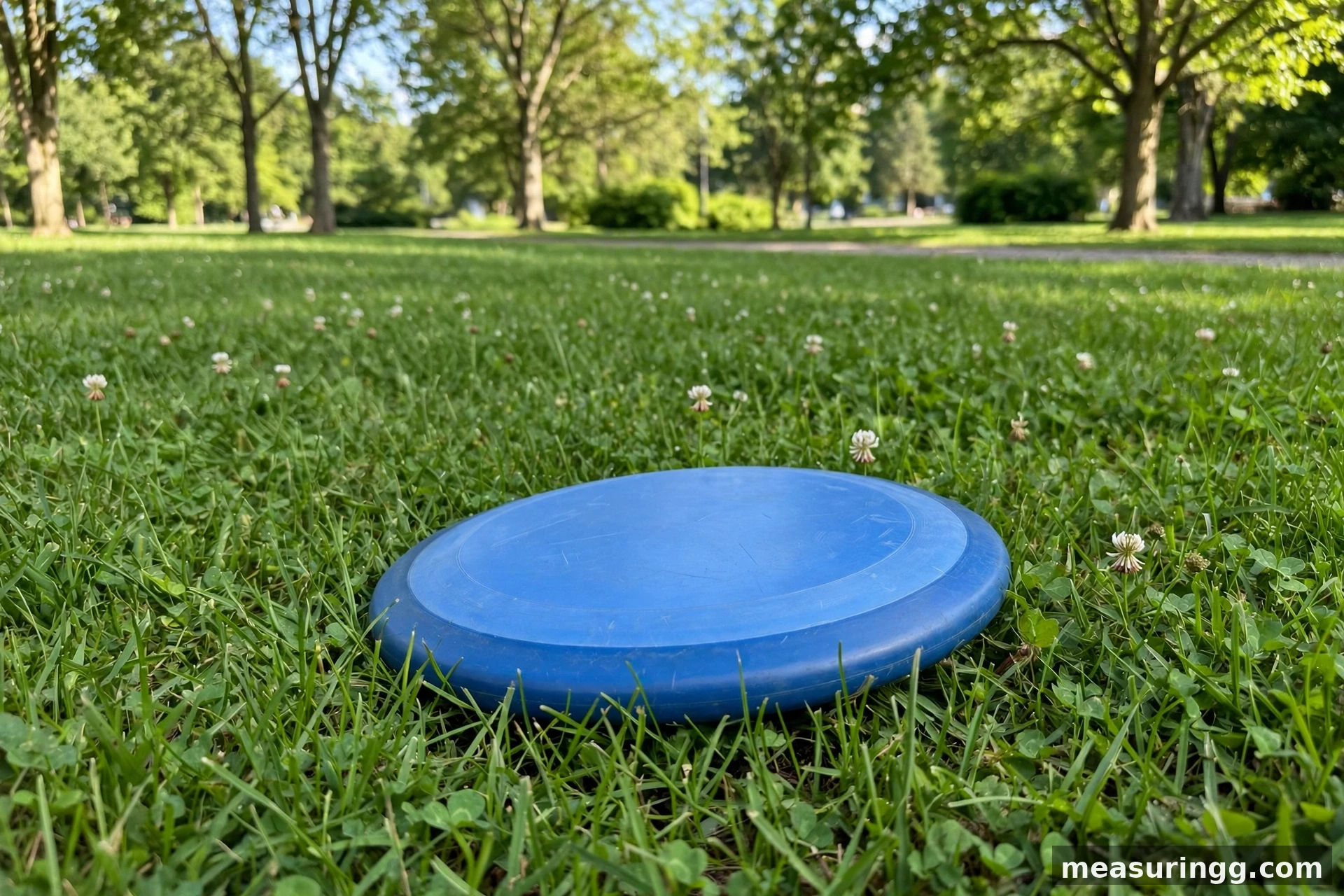A Standard Flying Disc